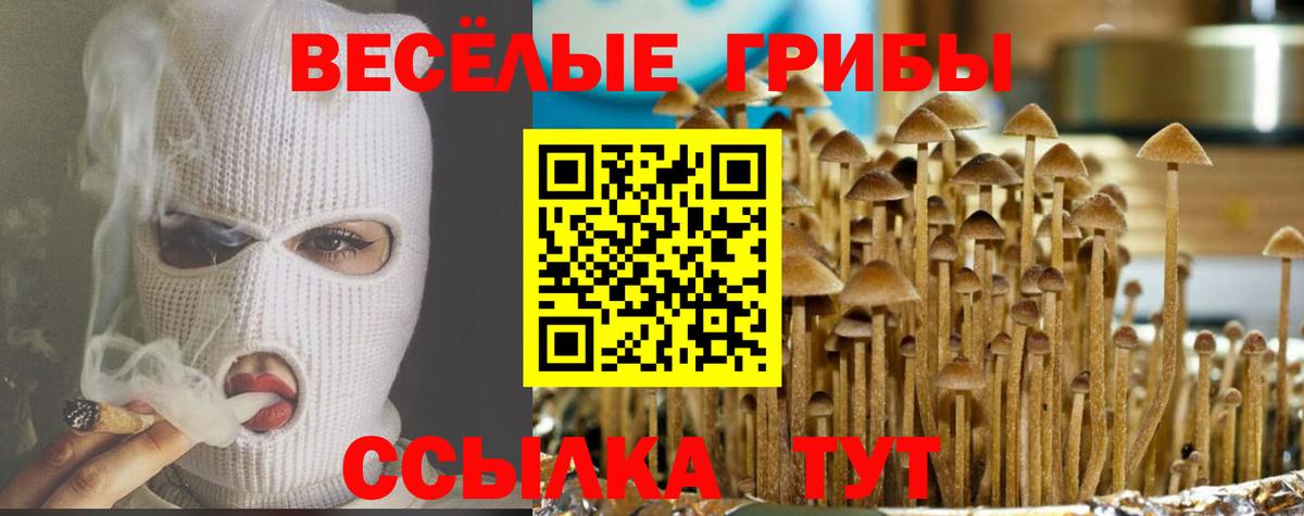 Галлюциногенные грибы прущие грибы Партизанск