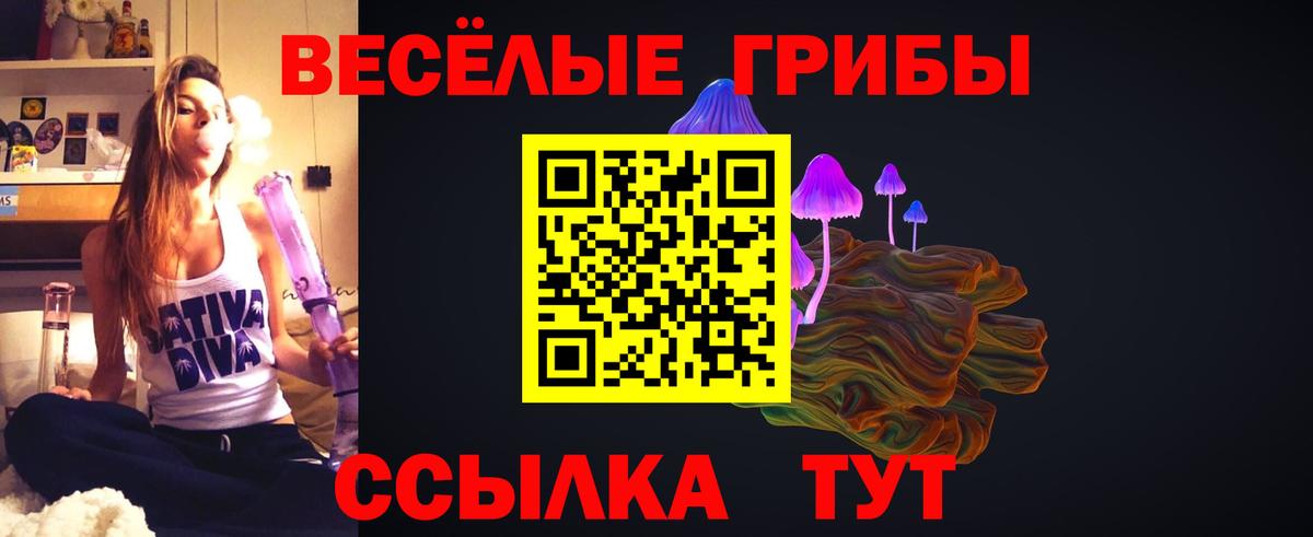 что такое   Вход с VPN  Партизанск  Галлюциногенные грибы GOLDEN TEACHER 